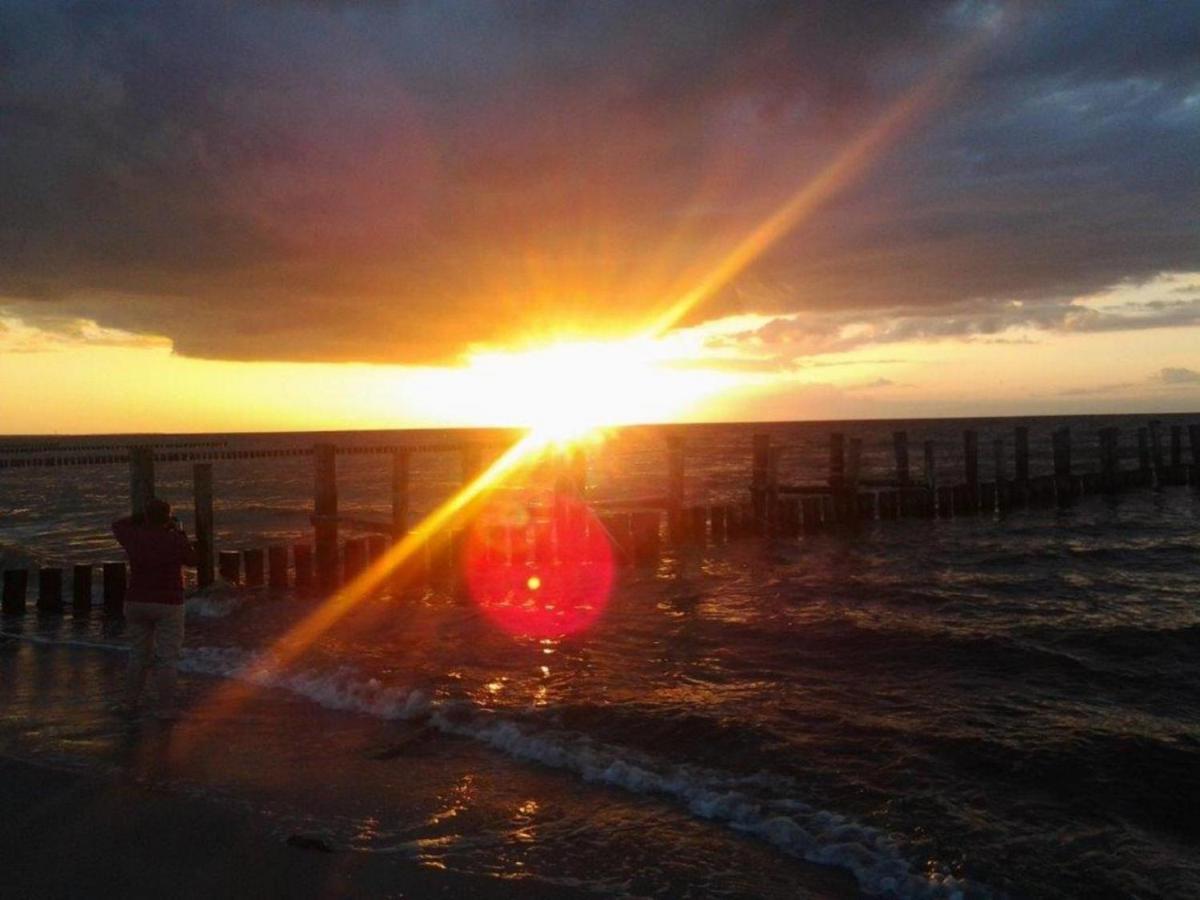 Residenz Am Strand Wohnung 2-43 Zingst Kültér fotó